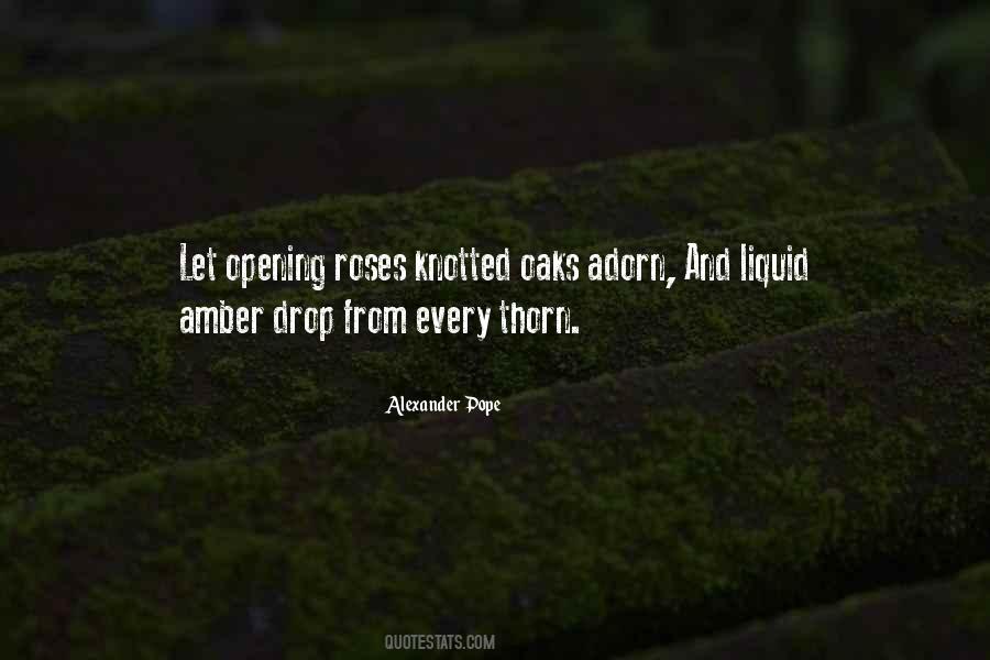 Altezza High Desert Quotes #1878639