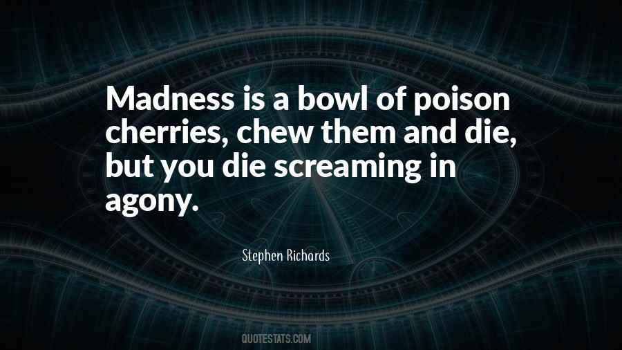 Insanity Madness Quotes #102587