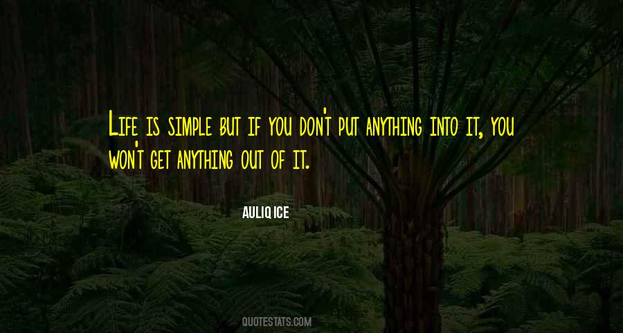Verdin Bells Quotes #267211