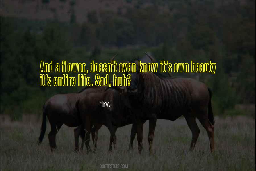 Richardville Drilling Quotes #158708