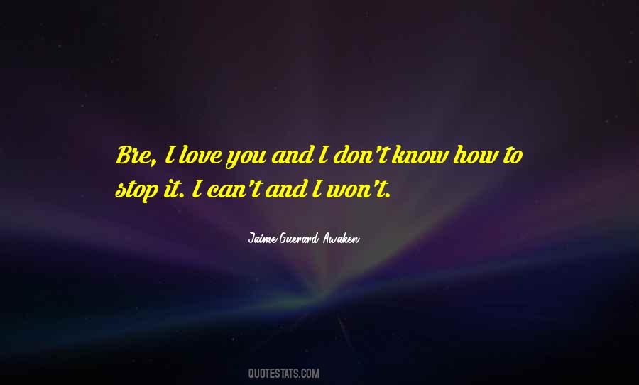 Bre Z Quotes #478020