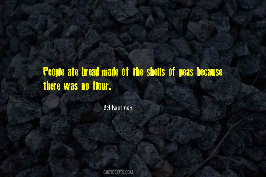 Constantinescu Adrian Quotes #1179261