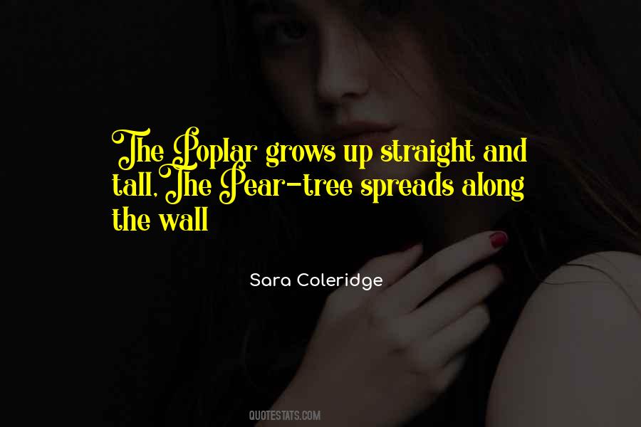 Edvan Santos Quotes #1453141