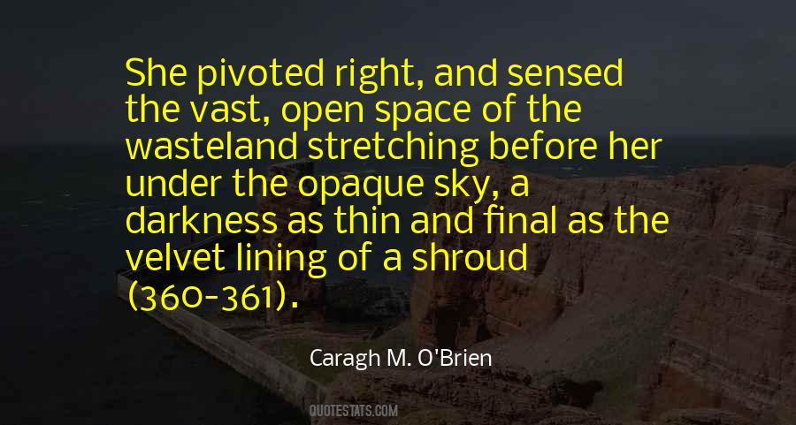 Caragh M O Brien Quotes #292976