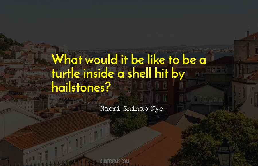 Shihab Nye Quotes #348242