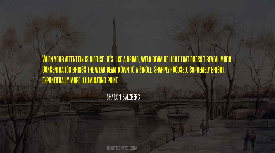 Shamburger Execution Quotes #456234