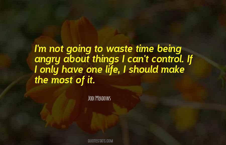 Make The Most Of It Quotes #1471609