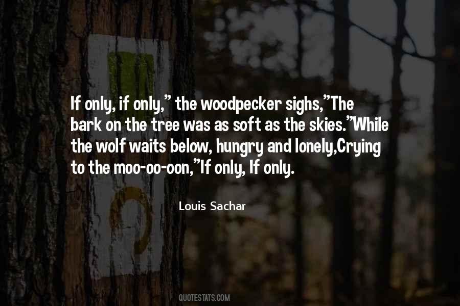 Woodpecker Sighs Quotes #5811