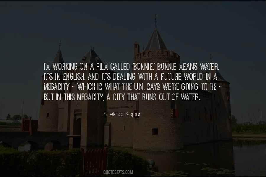 Niekie Minas Quotes #26080