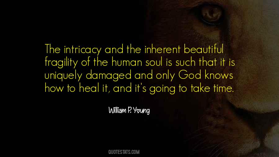 Damaged Soul Quotes #922293