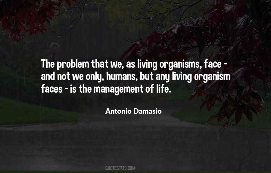 Damasio Quotes #1458561