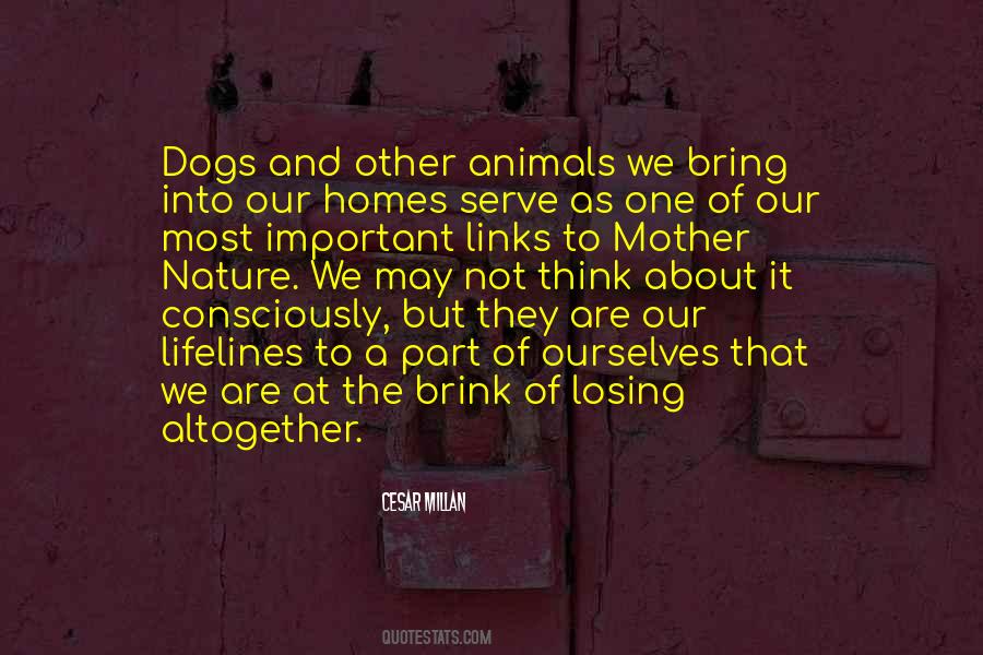 Animals We Quotes #1020004