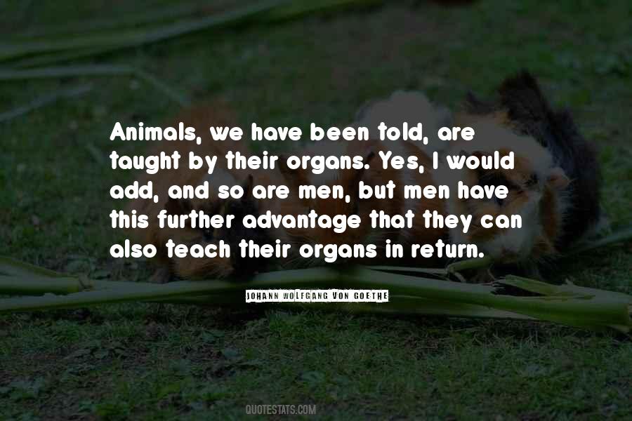 Animals We Quotes #1218025