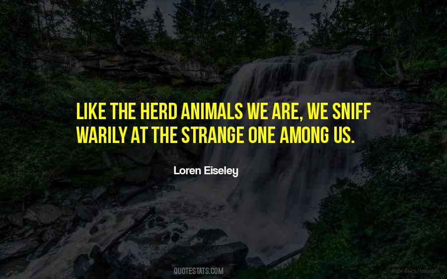 Animals We Quotes #1345166