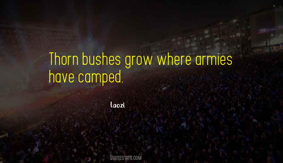 Thorn Bushes Quotes #37560