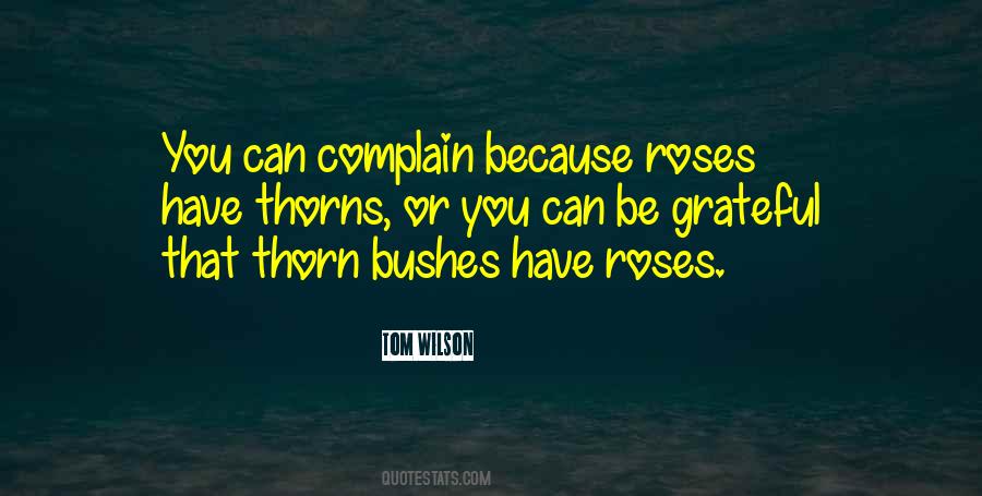 Thorn Bushes Quotes #844922