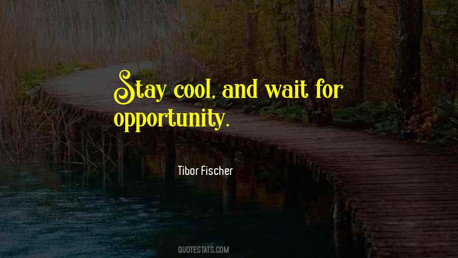 Elysandra Quinones Quotes #1720882