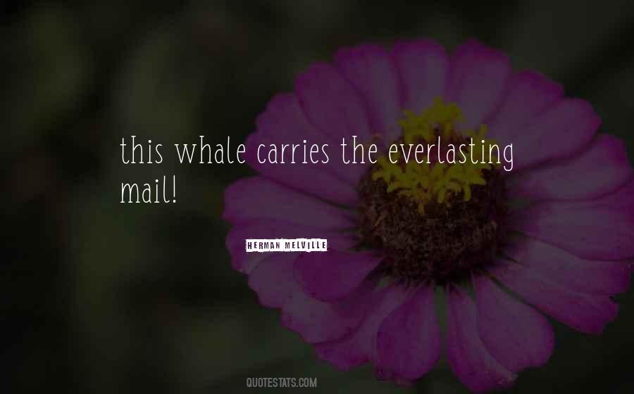 Moriko Mcvey Murray Quotes #1639135