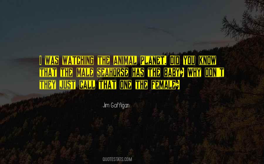 Regularit Num Riques Exercises Quotes #770146