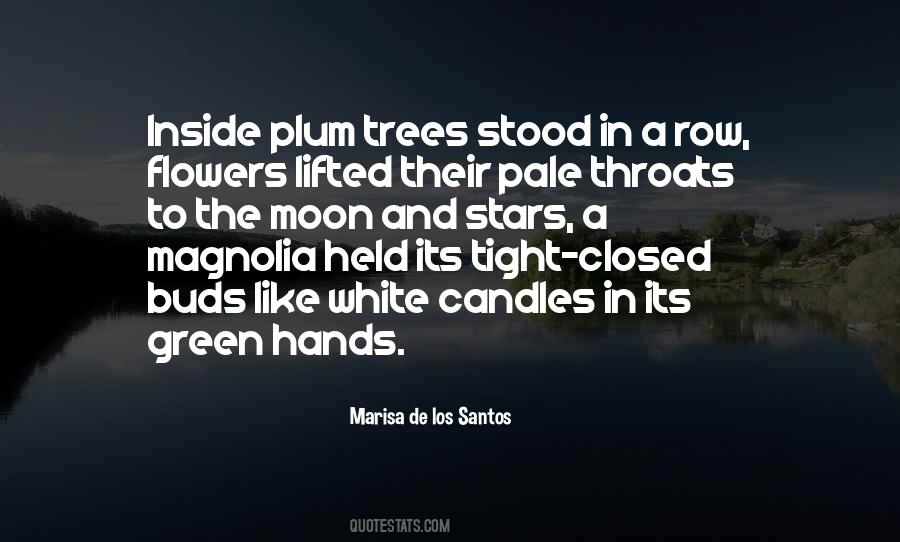 Plum Trees Quotes #1194327