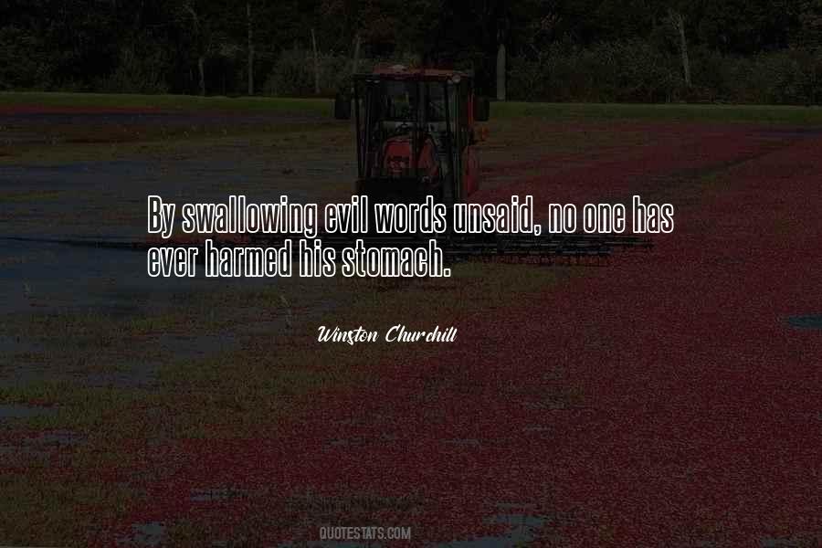 Savonarolas Republic Quotes #223230