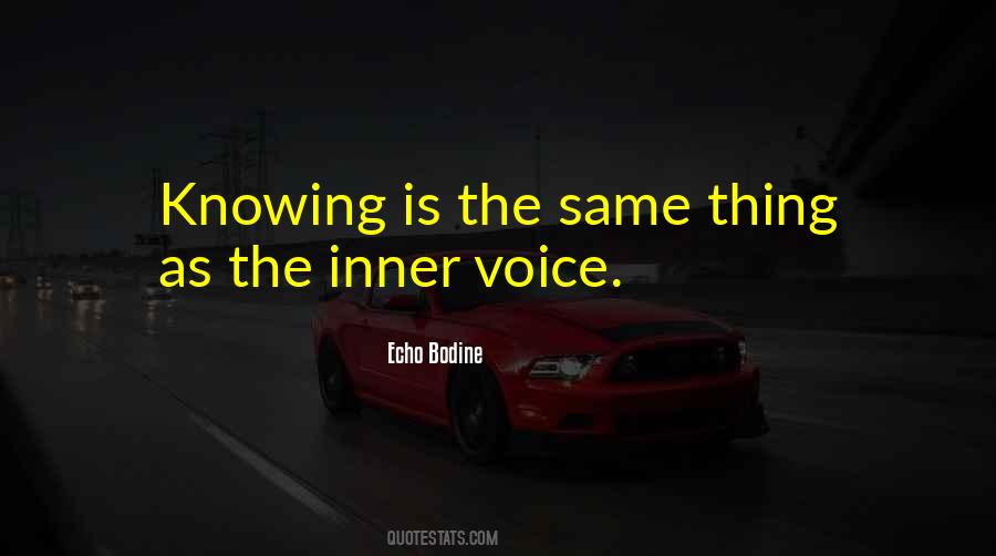 Savonarolas Republic Quotes #787025