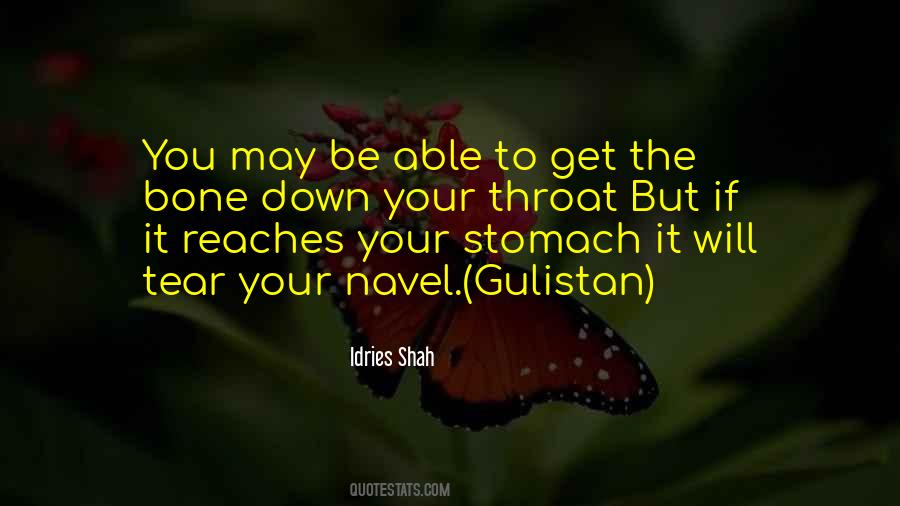 Villoldo Composer Quotes #501928