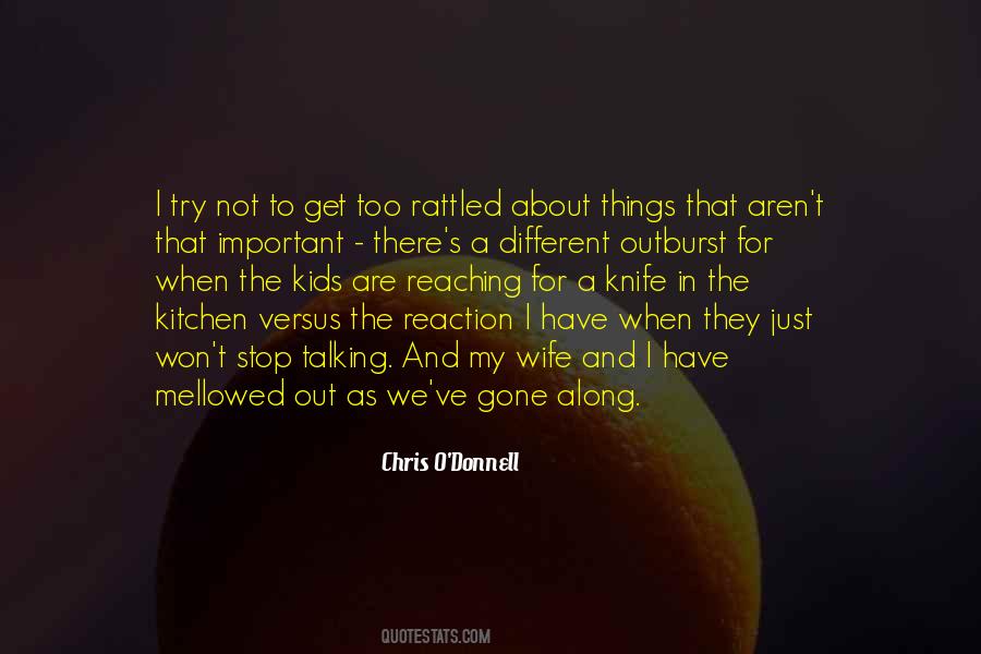 My Wife And Kids Quotes #261849