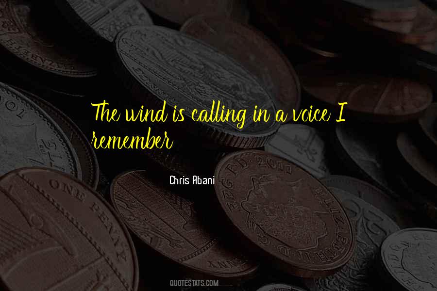 Voice In The Wind Quotes #1059595