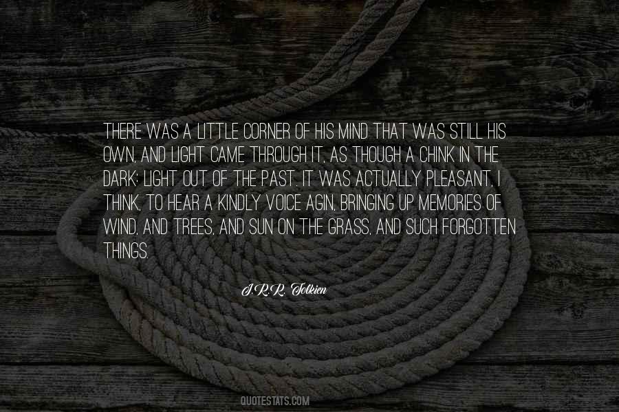 Voice In The Wind Quotes #1571088