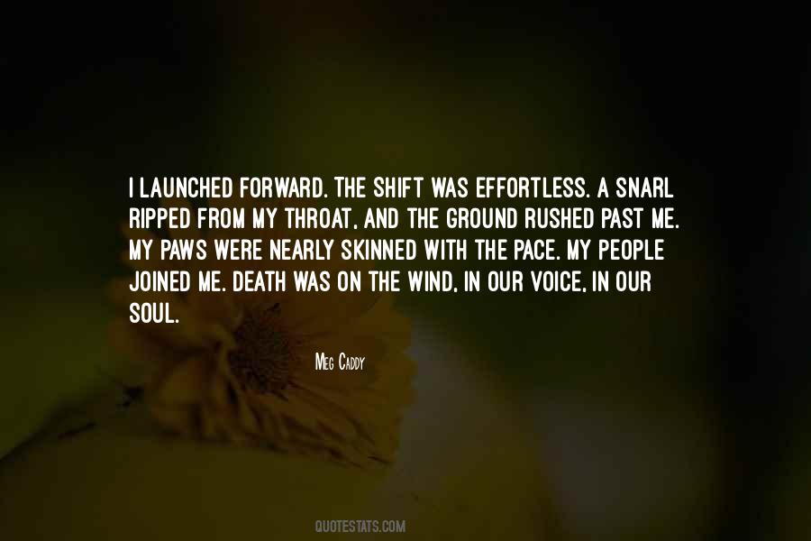Voice In The Wind Quotes #387350