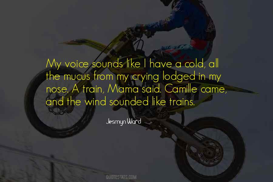 Voice In The Wind Quotes #855797