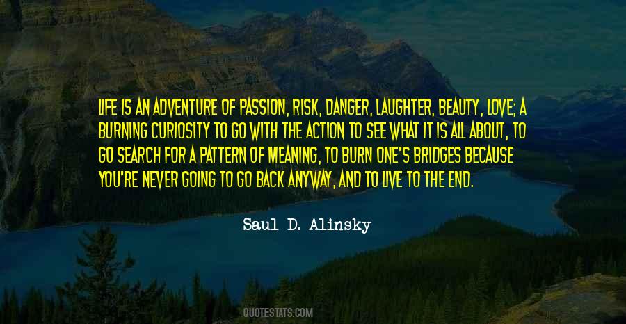 Danger Of Beauty Quotes #1442593