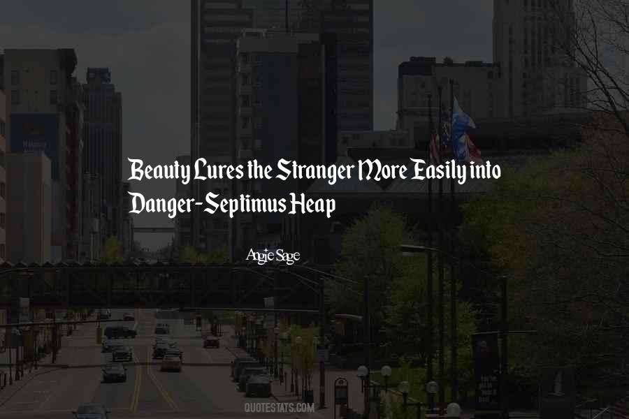 Danger Of Beauty Quotes #317988