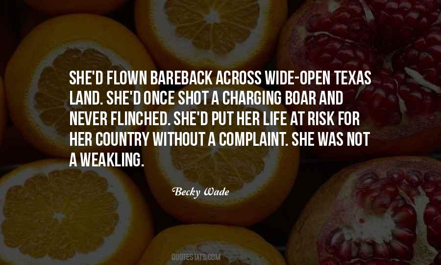 Country Romance Quotes #1171247