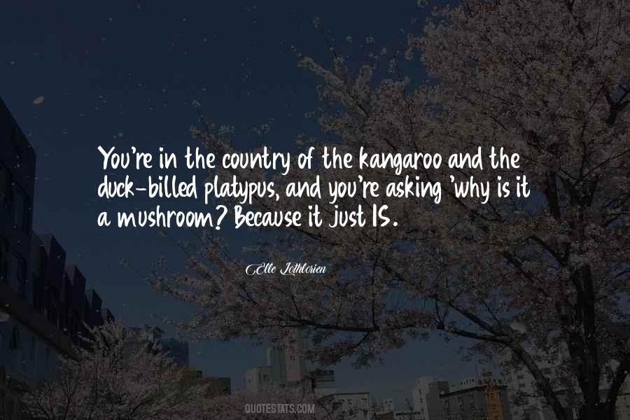 Country Romance Quotes #295385