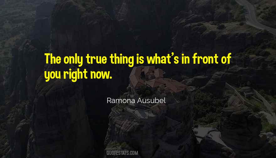 Front Of You Quotes #1411407