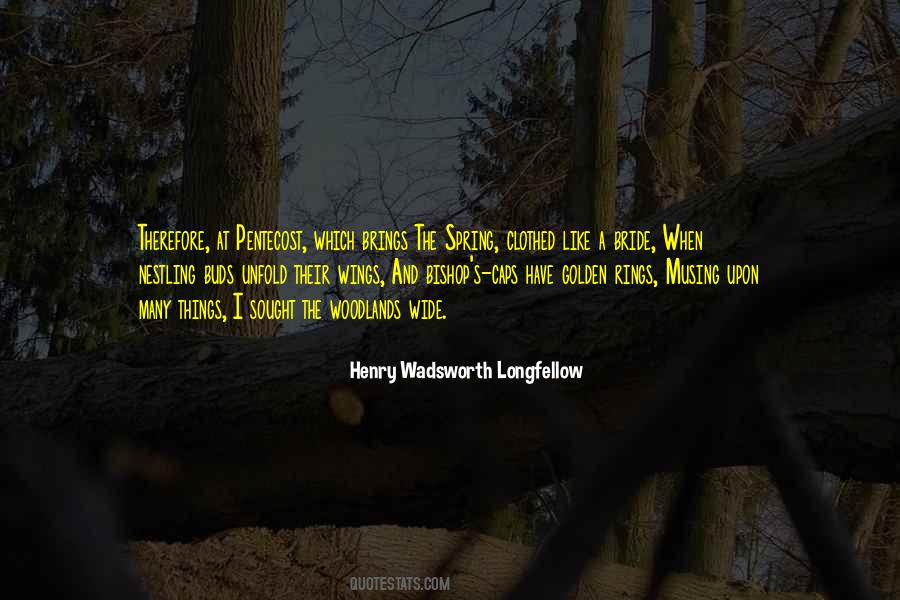 Unblack Metal Bandcamp Quotes #1158105