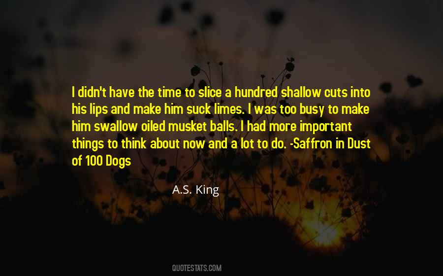Dust Balls Quotes #356507