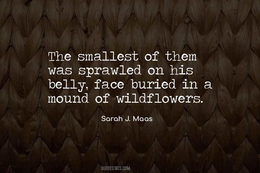 On The Mound Quotes #606127