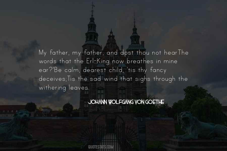 Johann Wolfgang Quotes #29846