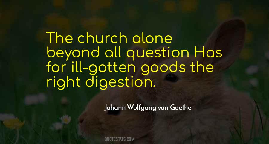 Johann Wolfgang Quotes #58993