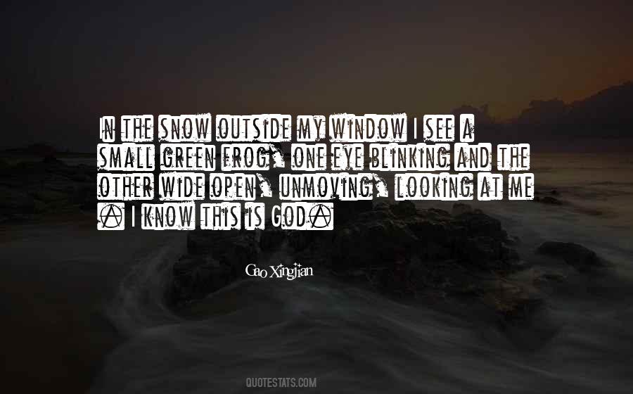 Quotes About The Open Window #420217