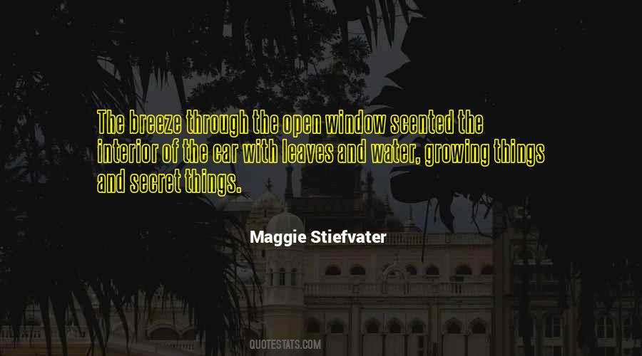 Quotes About The Open Window #588056