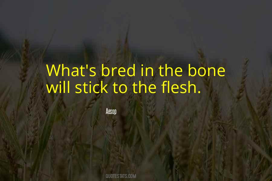 Flesh Bone Quotes #89061