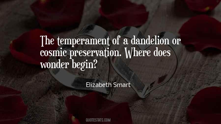 Contenedor De 20 Quotes #370613