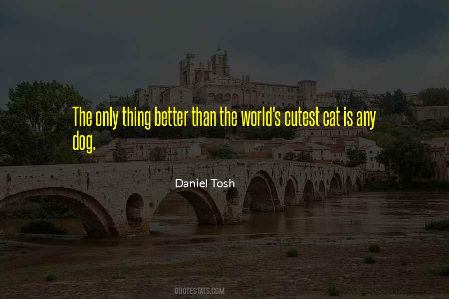 Daniel Tosh Tosh O Quotes #318919