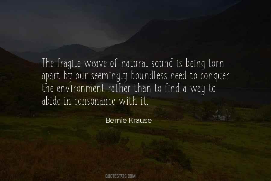 Environment With Quotes #44916