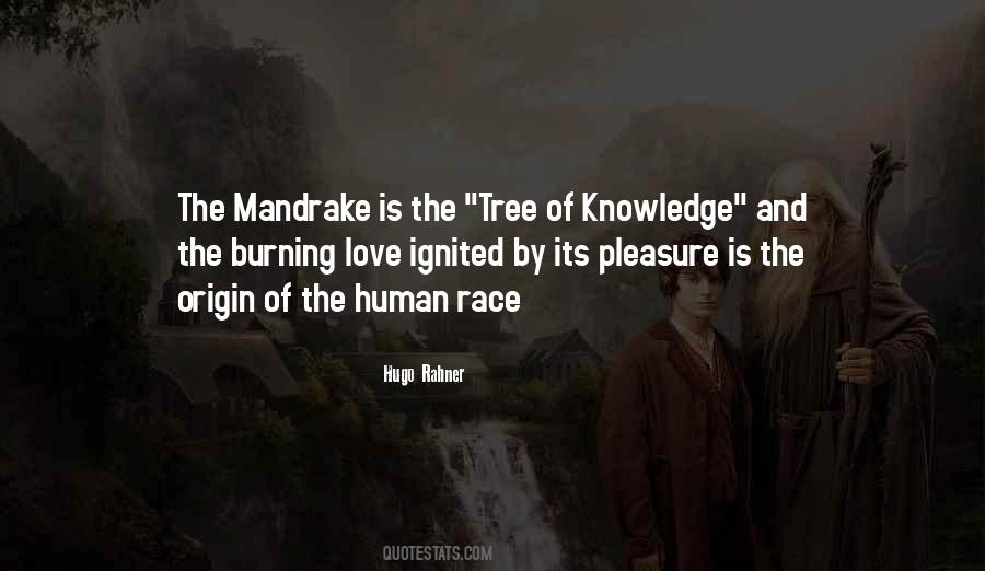 Tree Of Quotes #1017199