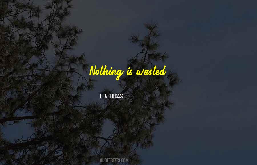 Nothing Is Wasted Quotes #1109843
